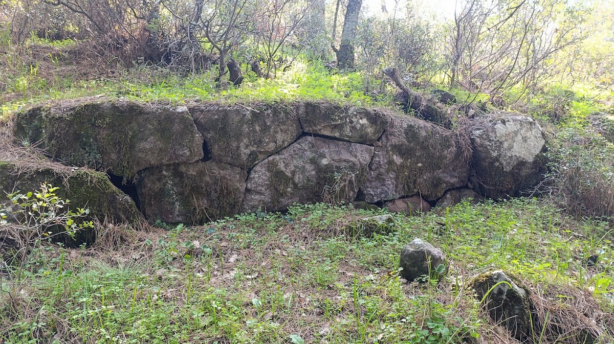 Temnos Antik Kenti Harabeleri ve Gölet Çevresi - Fotoğraf 3