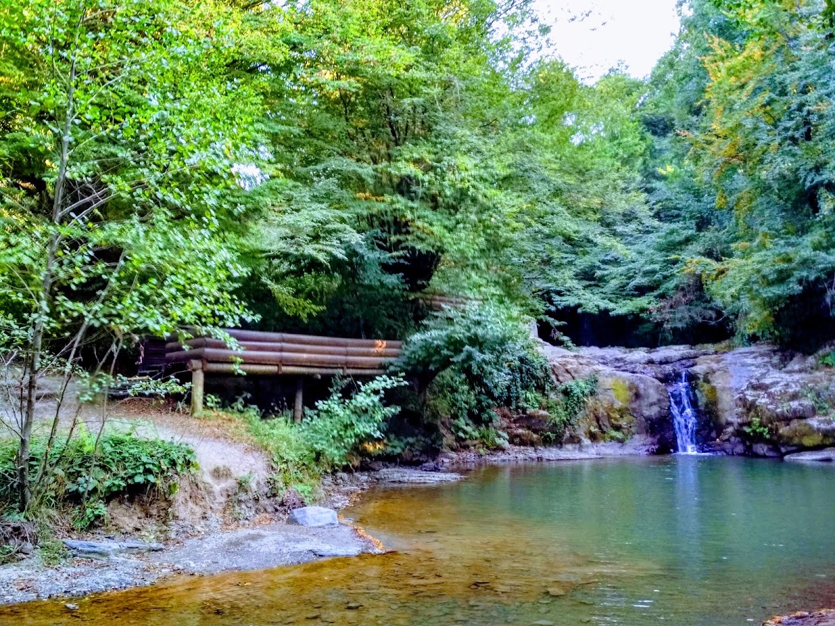 Zonguldak Ereğli Tas Gölü ve Karadeniz Koyları Kampı