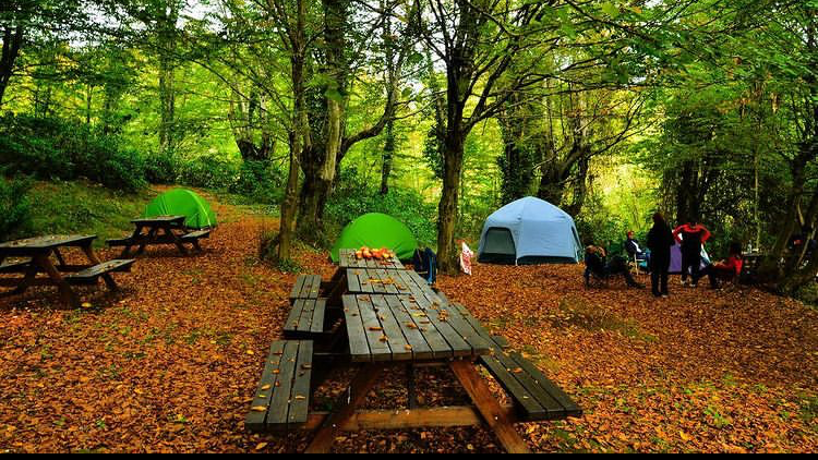Tas Gölü Doğal Yaşam ve Kamp Alanı - Fotoğraf 2